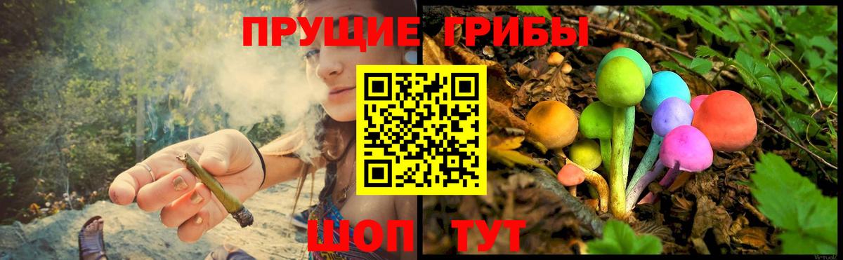 Галлюциногенные грибы GOLDEN TEACHER  Вход с VPN  Альметьевск 